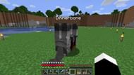 Entities named Dinnerbone or Grumm are flipped upside down (Image via Mojang)